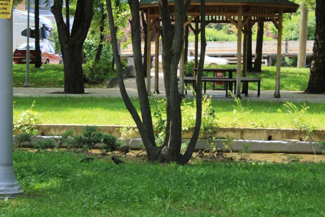 Bolu fotoğrafı